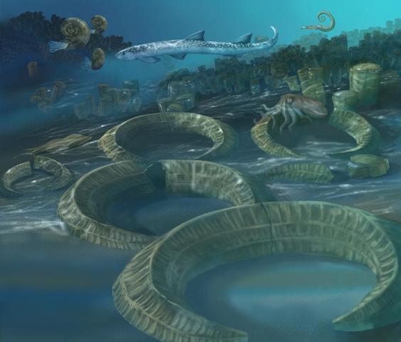 Cretaceous Period 136-65 MYA