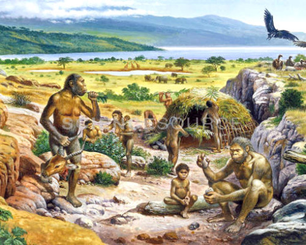 Quarternary Period 1.8 MYA-present