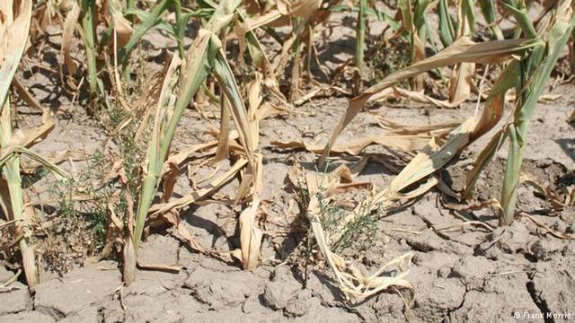 Beginning of the Agricultural crisis in Lower Canada