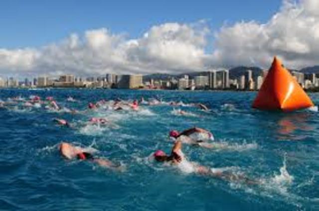 Open Water 10 Km Official