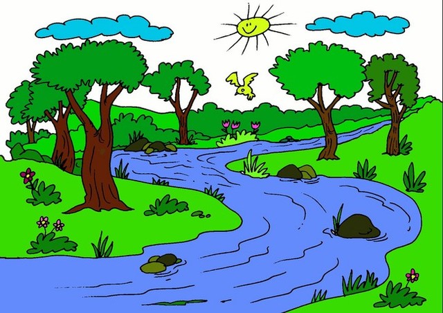 Mi aporte al medio ambiente