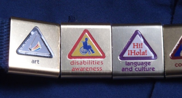 Boy Scouts Badge Pin - Disability Awareness