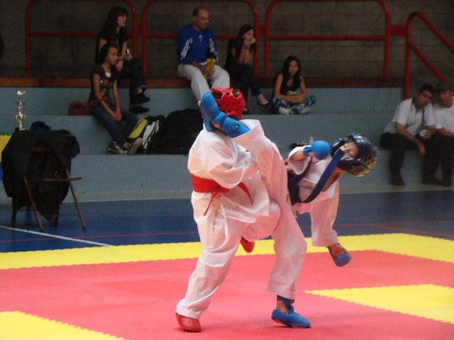 ultimo torneo de karate en costa rica
