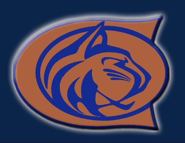 Collaboration in school