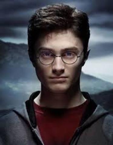 Harry Potter franchise