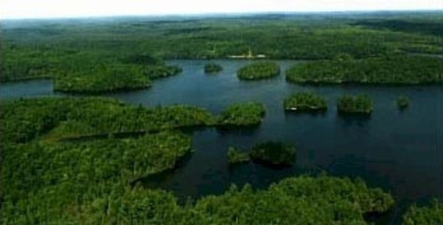 Boy Scout Summer Camp in Haliburton