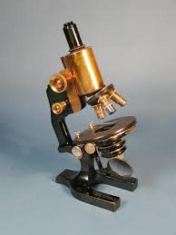 the microscope