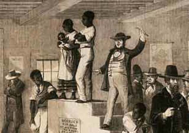 Captain Hopkins Purchases