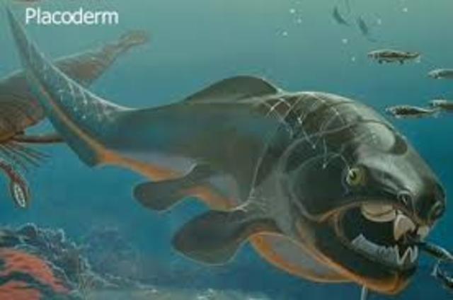 Silurian period 443-416 MYA