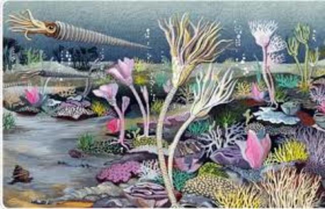 Silurian 443MYA - 416MYA