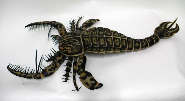 Silurian Period 443 - 416 Mya