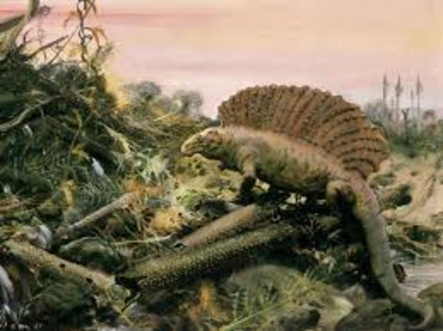 Carboniferous Period
