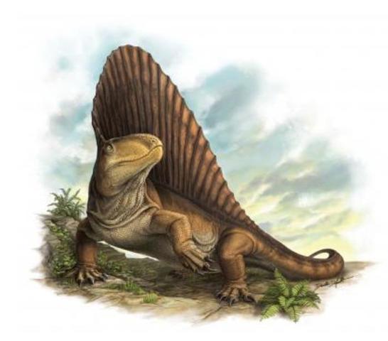 Triassic Period