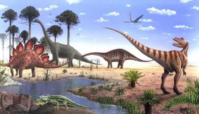 Jurassic Period 200MYA - 145MYA