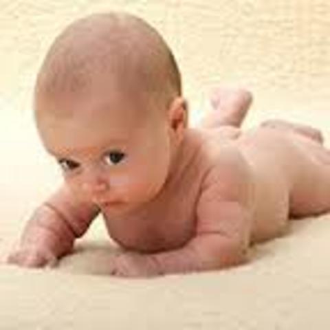 Raised Head (2 Months)