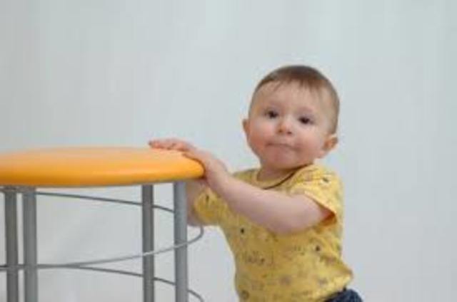 Pulled Up To A Standing Position (7.6 Months)