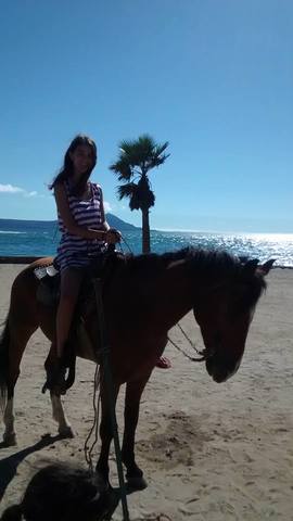 Viaje a Baja California