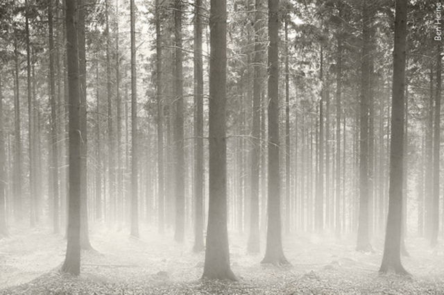 territory never seen