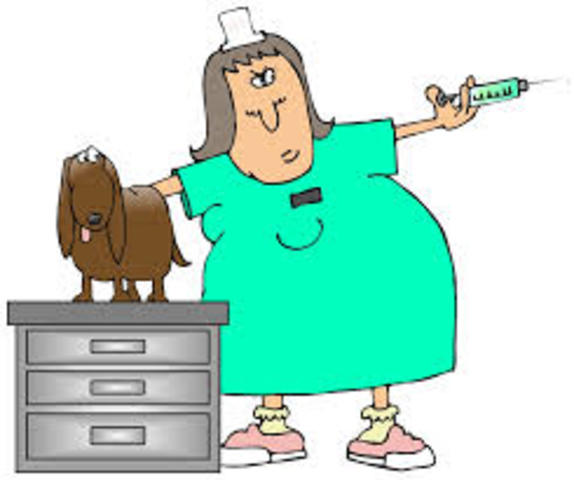 Contact a vet to get him his shots