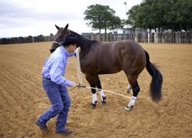 Find a new trainer and contact them