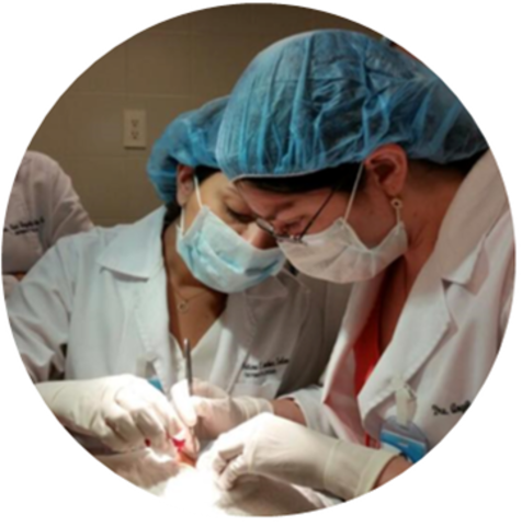 CREACION DE ESPECIALIZACION EN DERMATOLOGIA