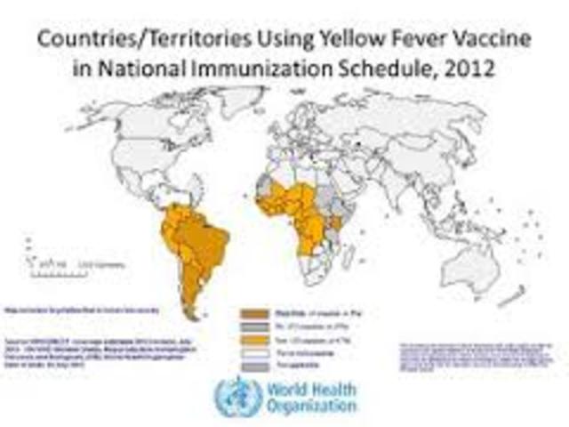 Vaccination Efforts Continue