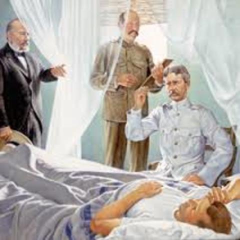 Max Theiler develops a vaccination