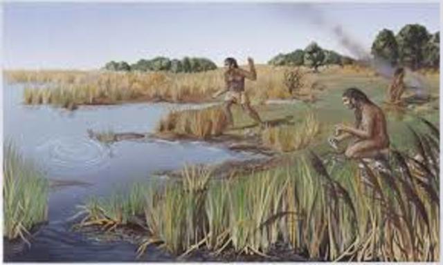 Quarternary 2.6 MYA-Now