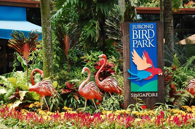 Jurong Bird Park