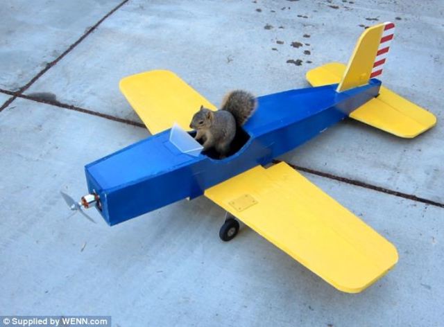 Day 14- Plane Ride Home