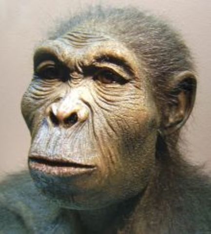 Quaternary 2.6-present MYA