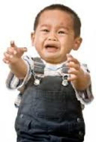 Stranger Anxiety Developed (8 Months)