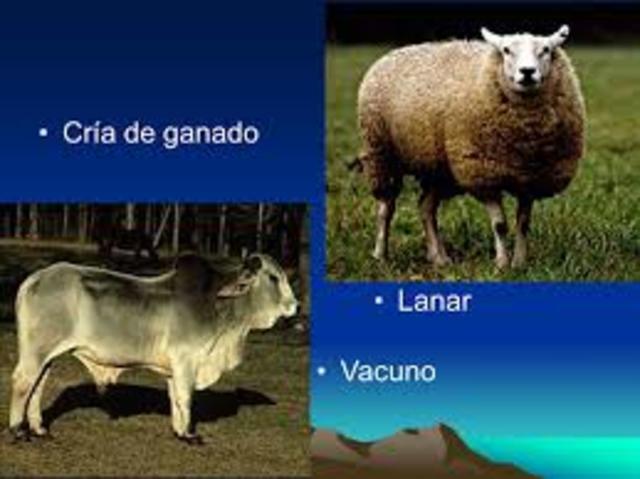 Producción de ganado vacuno y lanar 1770