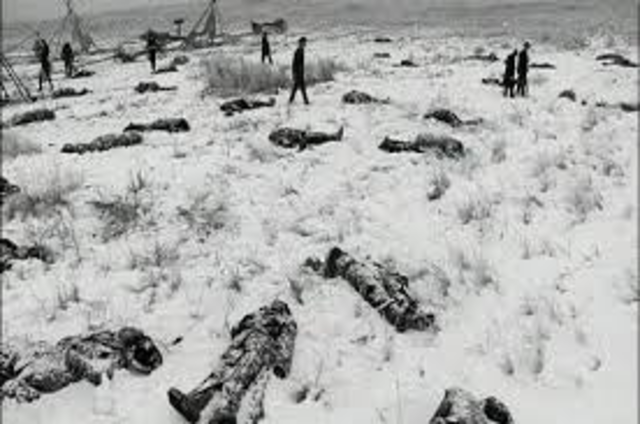 Battle of Wounded Knee