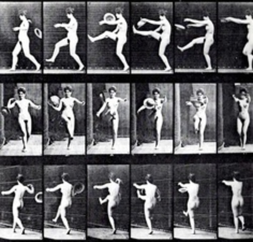 Muybridge