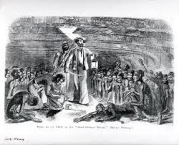 Sickness got the best of them