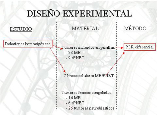 Se Implementa El Diseño Experimental