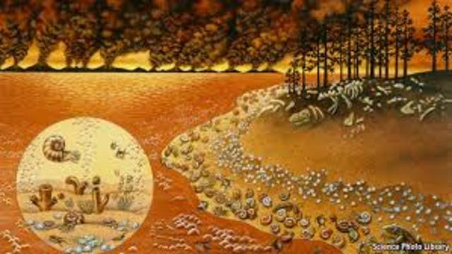 Permian Period- 280-225 MYA