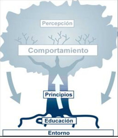 Raíces del enfoque del comportamiento