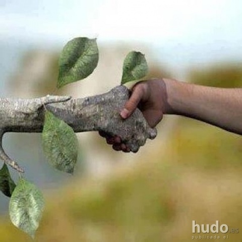 Se constituye el Club los amigos de la Naturaleza