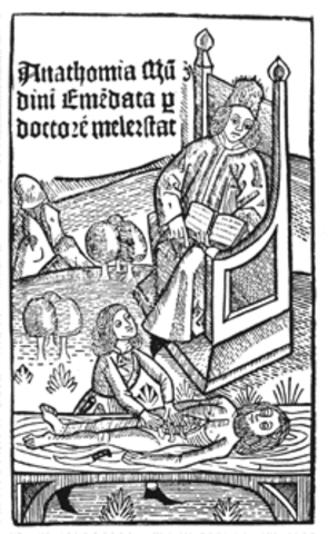 MONDINO DI LULZZI ( 1276 - 1326)