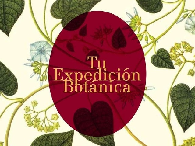 expedicion botanica