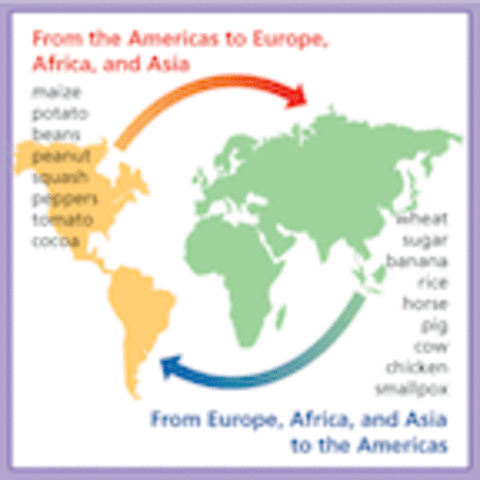 Christopher Coumbus reaches America