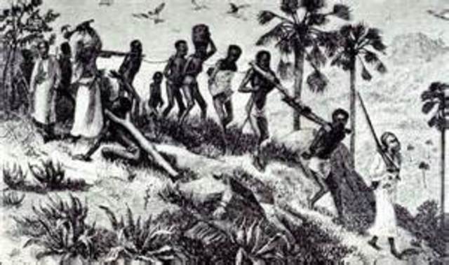 Dutch brings Africans