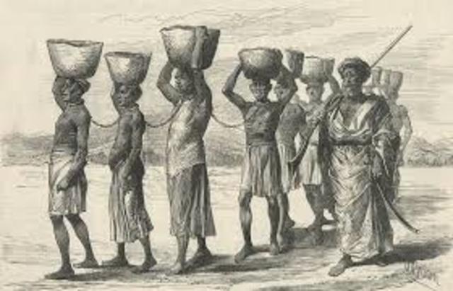 African slaves replace natiave born slaves