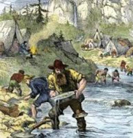 Gold Rush