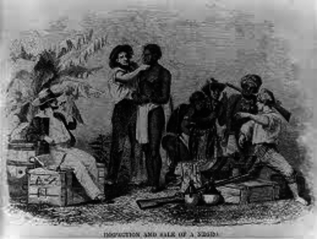 Dutch bring Africans