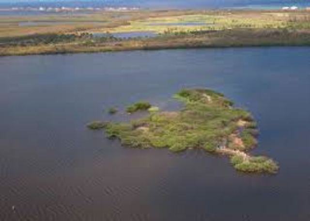 Pelican Island, Florida, named fist national wildlife refuge