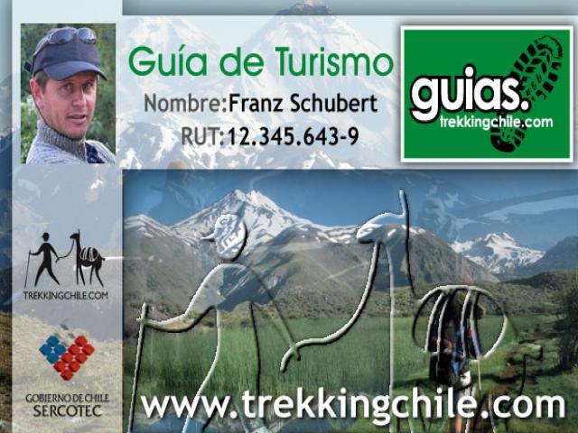 Reglamento de guias de turismo y guias hoteleras