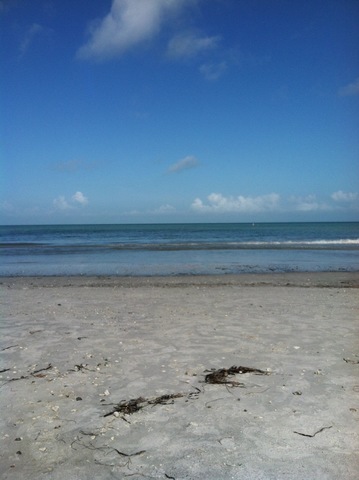 Vacación de Florída